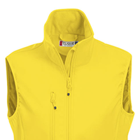 Colore GIALLO LIMONE 10